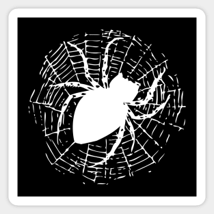 Halloween Spider Sticker